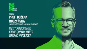 W innych krajach robią furorę. Polacy nadal omijają te grzyby