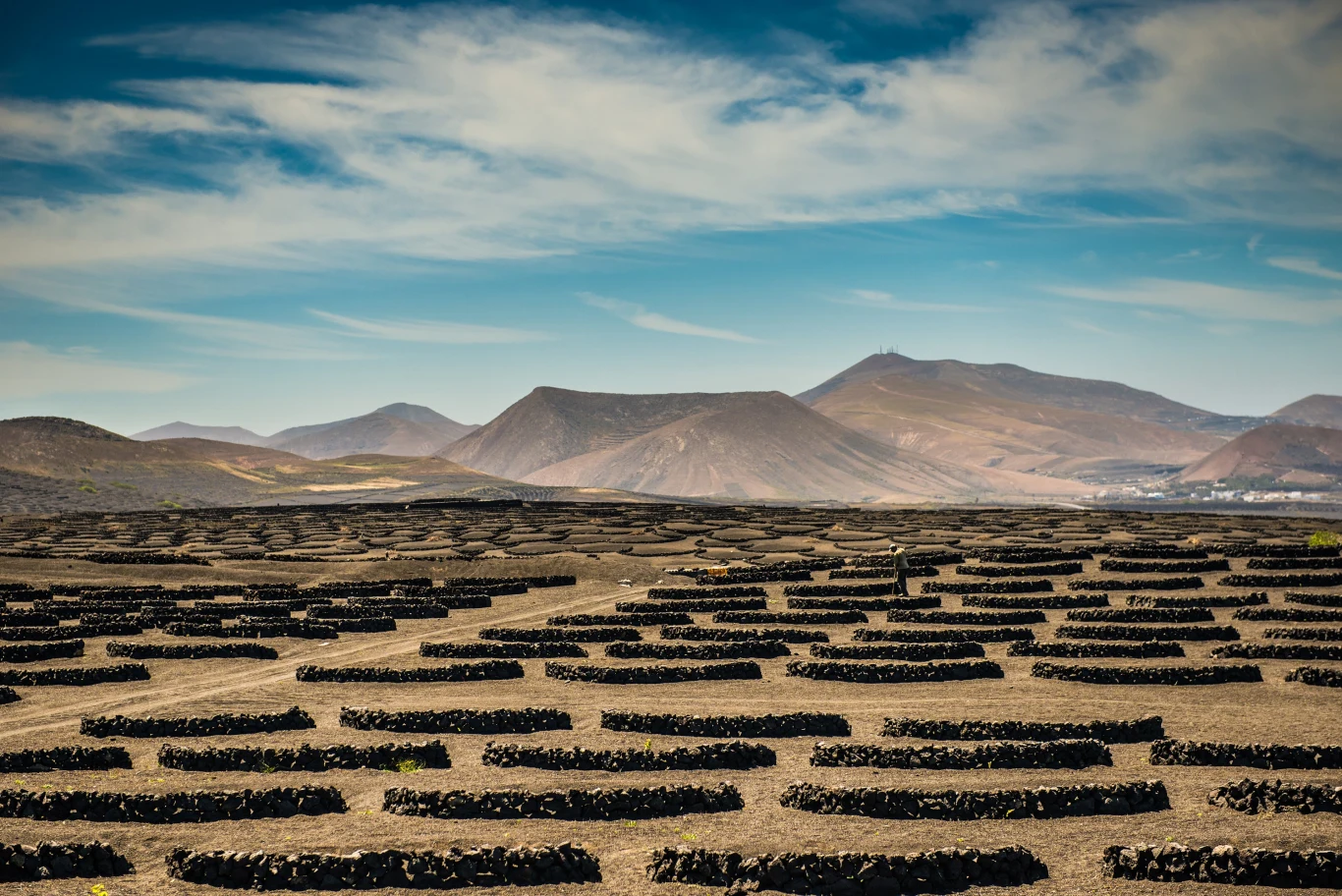 La Geria - winnice na Lanzarote.