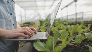 Specjaliści wskazali zawód przyszłości. Na czym polega profesja "zadziczacza"?