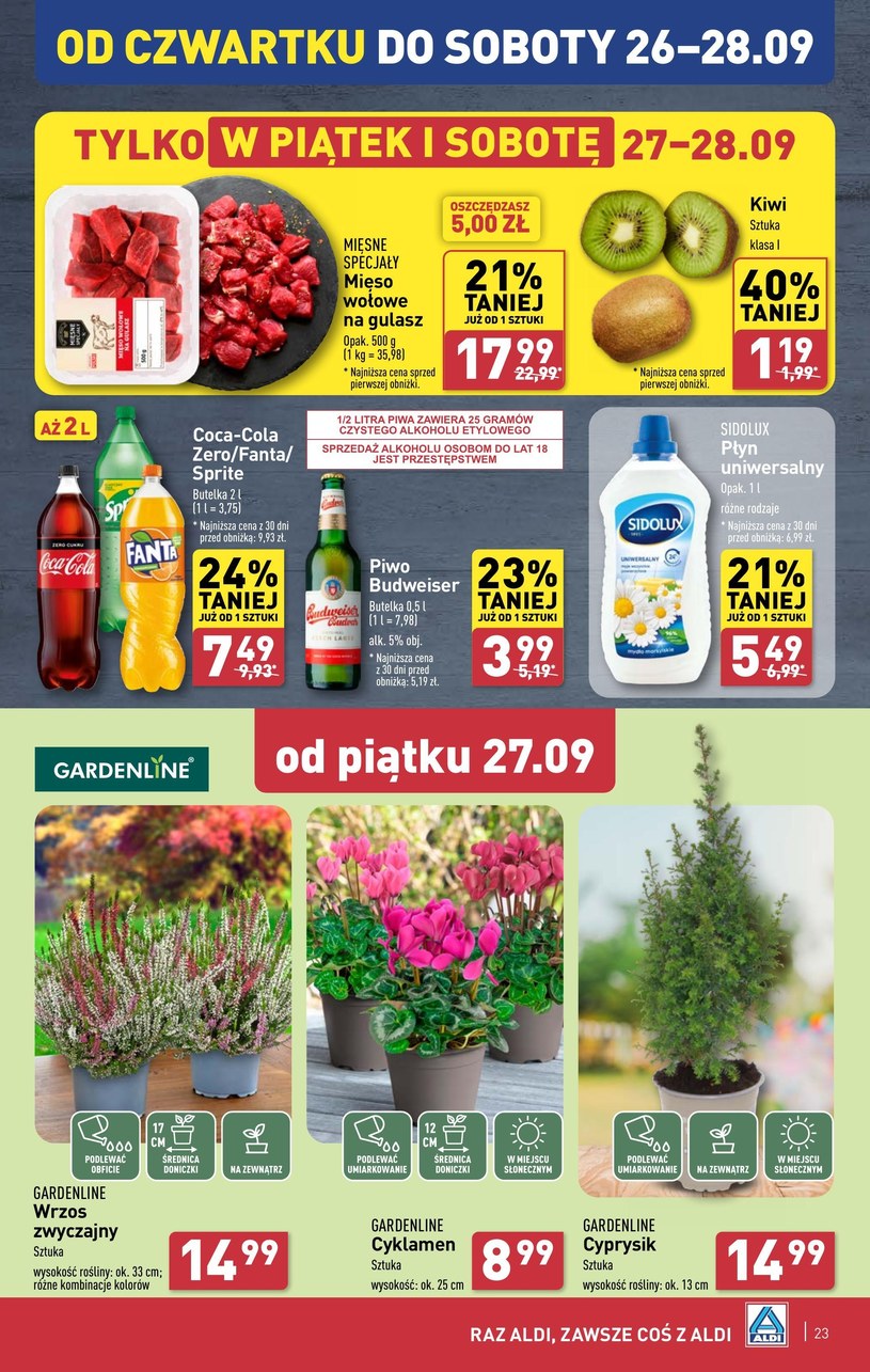 Gazetka: Super ceny na każdy dzień - Aldi - strona 23