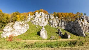 Nazywają to miejsce "polską Szwajcarią". Jesienią wygląda zjawiskowo