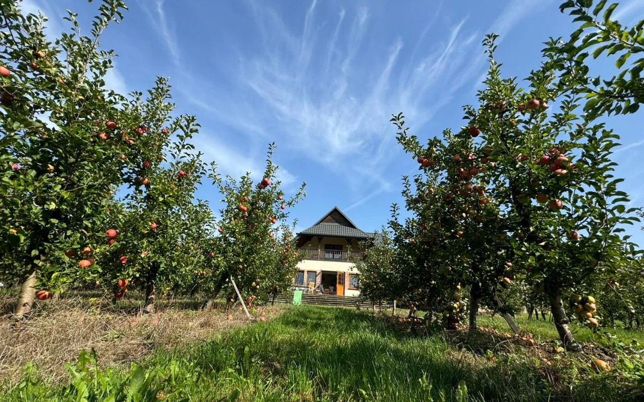 Gospodarstwo agroturystyczne „Pod Jabłonią” w Celejowie Gospodarstwo agroturystyczne „Pod Jabłonią” w Celejowie