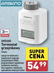 Termostat grzejnikowy Ambiano