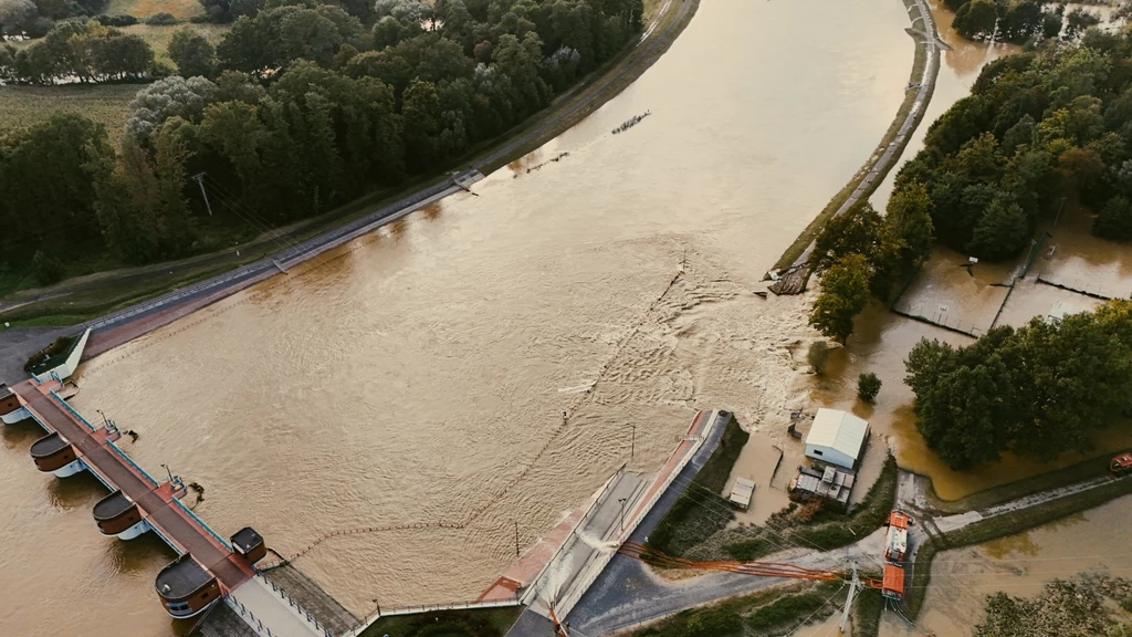 Powódź. Zalane tereny w Lewinie Brzeskim w woj. opolskim