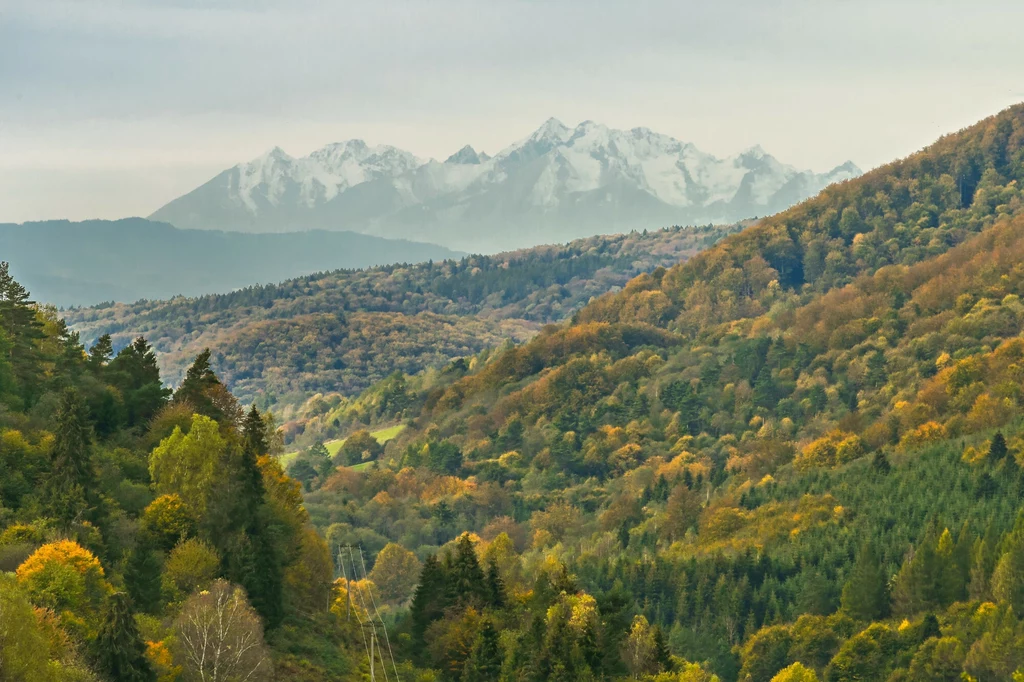 Ze wsi Dubne możemy dostrzec panoramę Tatr