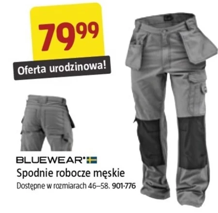 Чоловічі робочі штани Bluewear