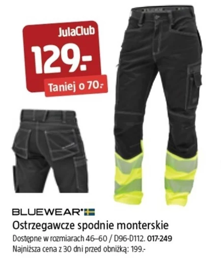 Spodnie robocze Bluewear