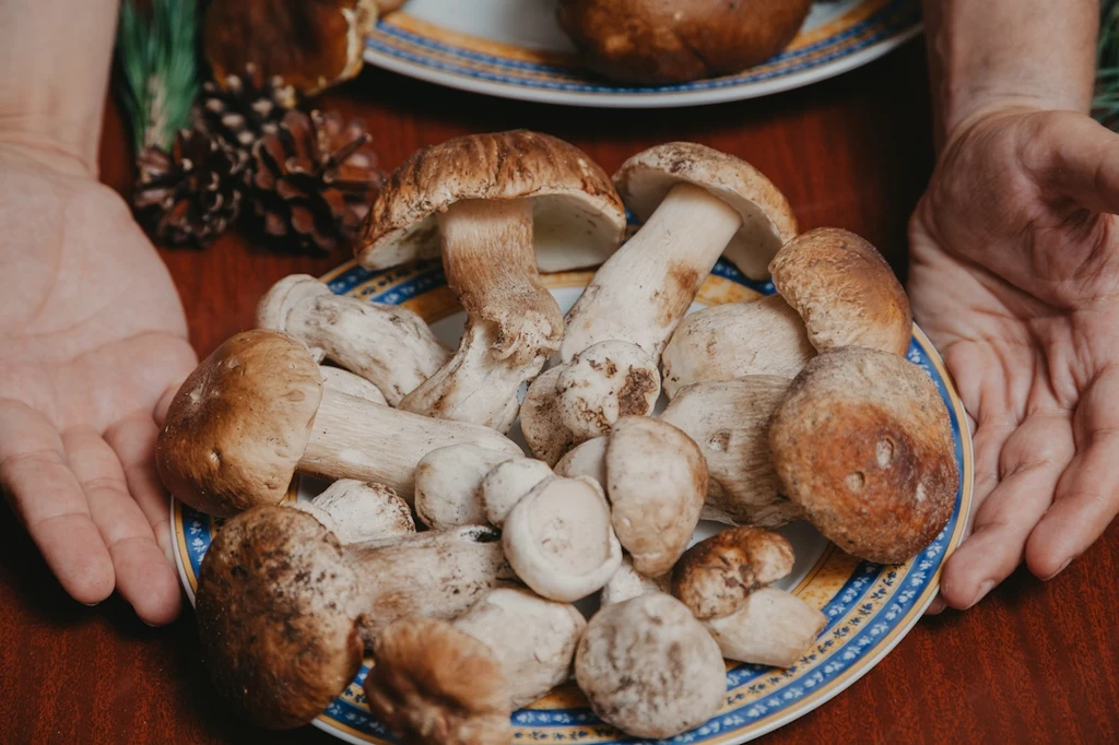 Jaka przyprawa podkreśla smak grzybów? Tych lepiej się wystrzegaj