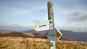 Mówią, że Bieszczady są najpiękniejsze jesienią. Na te szlaki musisz się wybrać 