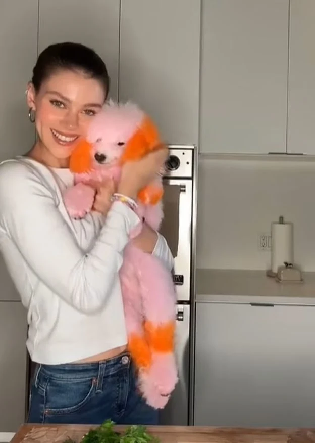 Nicola Peltz-Beckham pofarbowała psa na kolorowo