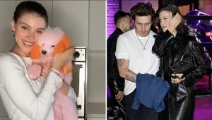 Nicola Peltz-Beckham pofarbowała psa na kolorowo