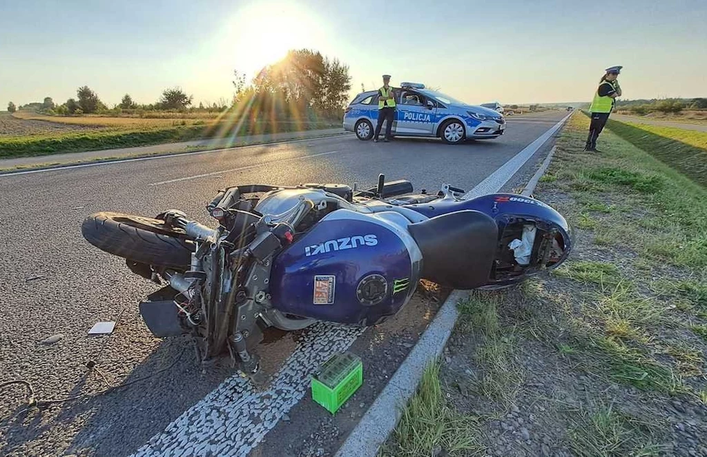 Zderzenie motocyklisty z łosiem na obwodnicy Kraśnika