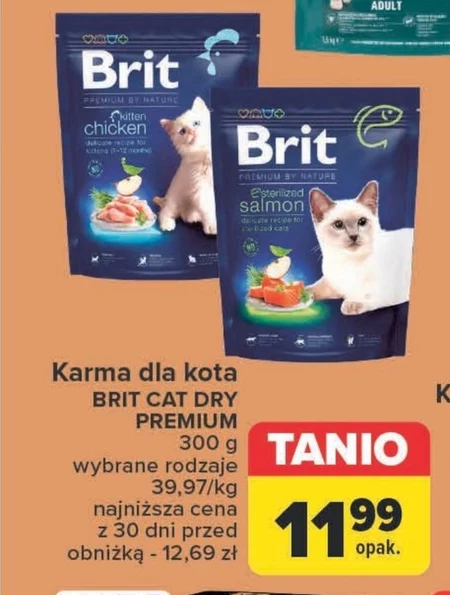 Корм для котів Brit