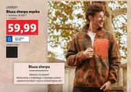 Bluza męska Livergy