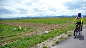 Widok na Tatry przysłoni farma fotowoltaiczna? Mieszkańcy mówią "nie"