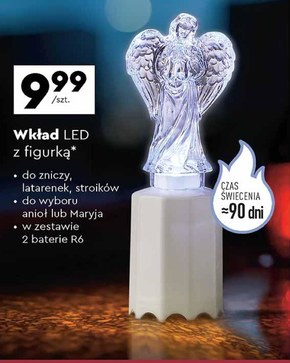 Wkład led do zniczy niska cena