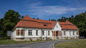 Wycinają drzewa z parku znajdującego się na terenie zabytkowego Szpitala Klinicznego im. dr. Józefa Babińskiego SPZOZ w Krakowie
