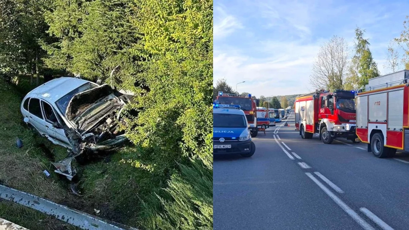Podkarpacie. Seria wypadków na DK19. Jedna osoba nie żyje Podkarpacie. Seria wypadków na DK19. Jedna osoba nie żyje