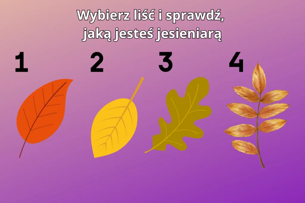 Test osobowości