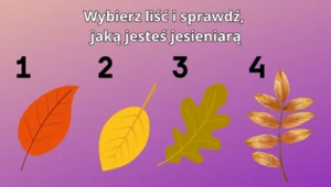 Psychotest: Jaką jesieniarą jesteś? Wybierz liść i poznaj prawdę na swój temat