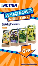 Wyjątkowo niskie ceny! - Action