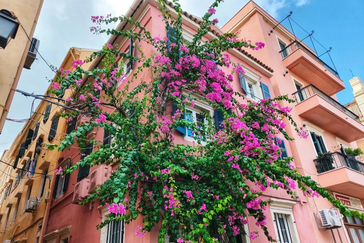 Zwiedzanie czas zacząć! Zwiedzanie czas zacząć!