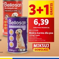 Корм для собак Bellosan