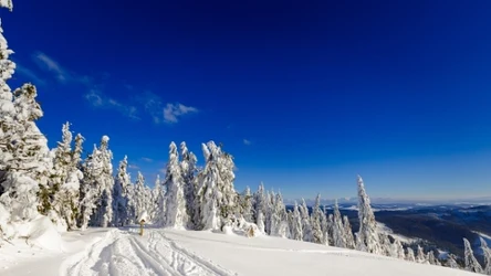 Perła Beskidów to idealne miejsce na zimowy urlop. Miasto Małysza oferuje moc atrakcji. 