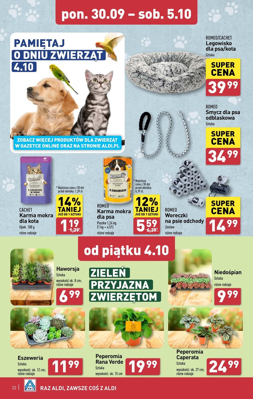 Gazetka: Jakość Aldi w super cenach! - Aldi - strona 22