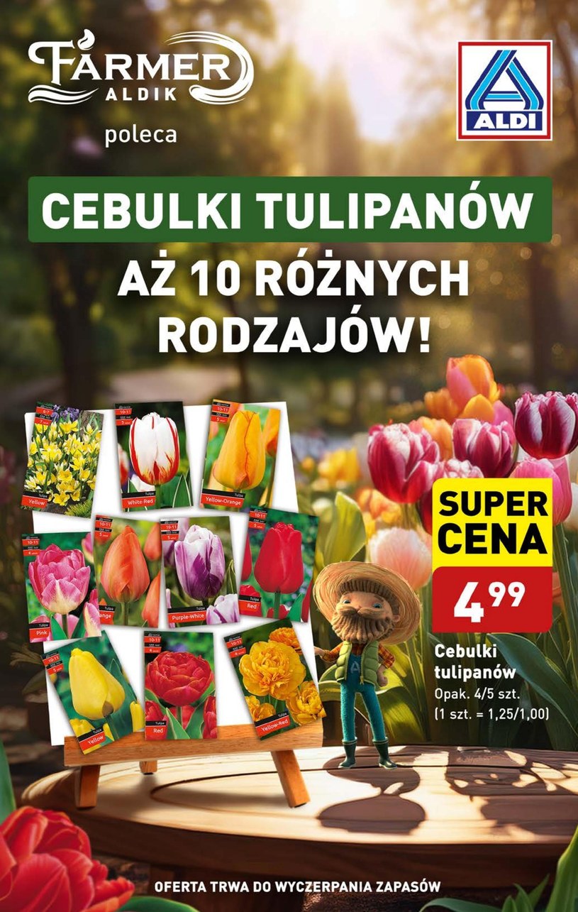 Gazetka: Jakość Aldi w super cenach! - Aldi - strona 41