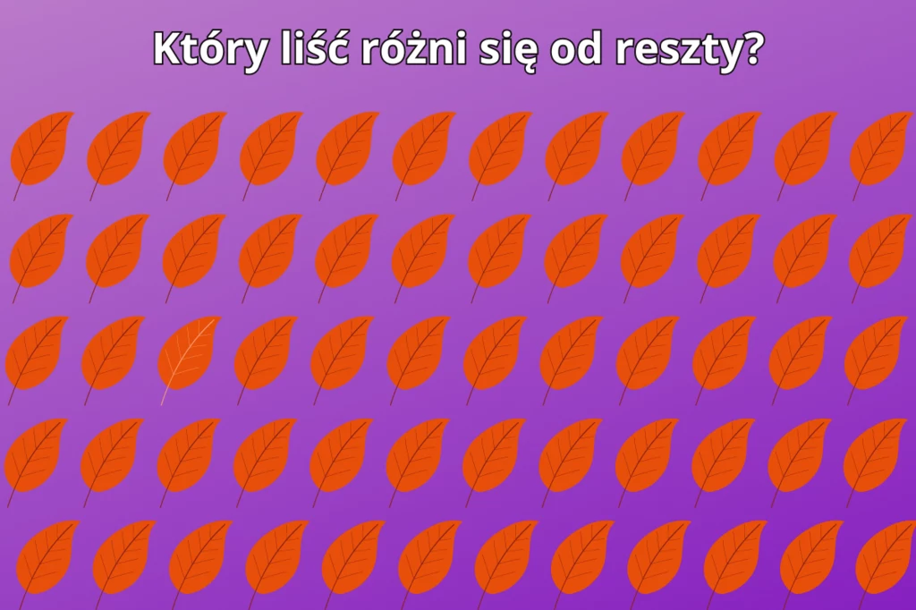 Test na spostrzegawczość