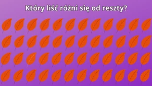 Test na spostrzegawczość: Który liść różni się od pozostałych? 