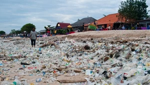 Turyści mogą być dużym zagrożeniem dla Bali