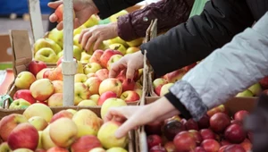 Jabłka to cenne źródło witaminy C. Nie powinniśmy zapominać o tych owocach jesienią