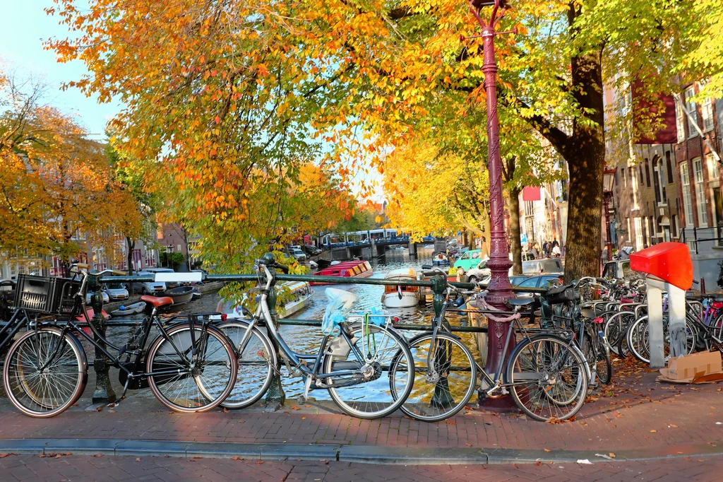 Amsterdam jesienią nabiera wyjątkowego charakteru 