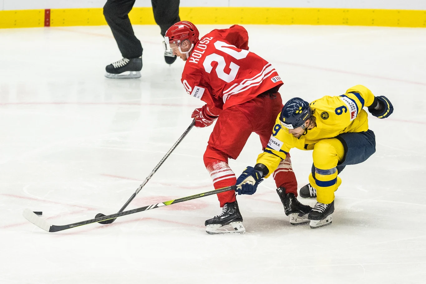 Marcin Kolusz (nr 20) to zawodnik reprezentacji Polski i Podhala Nowy Targ