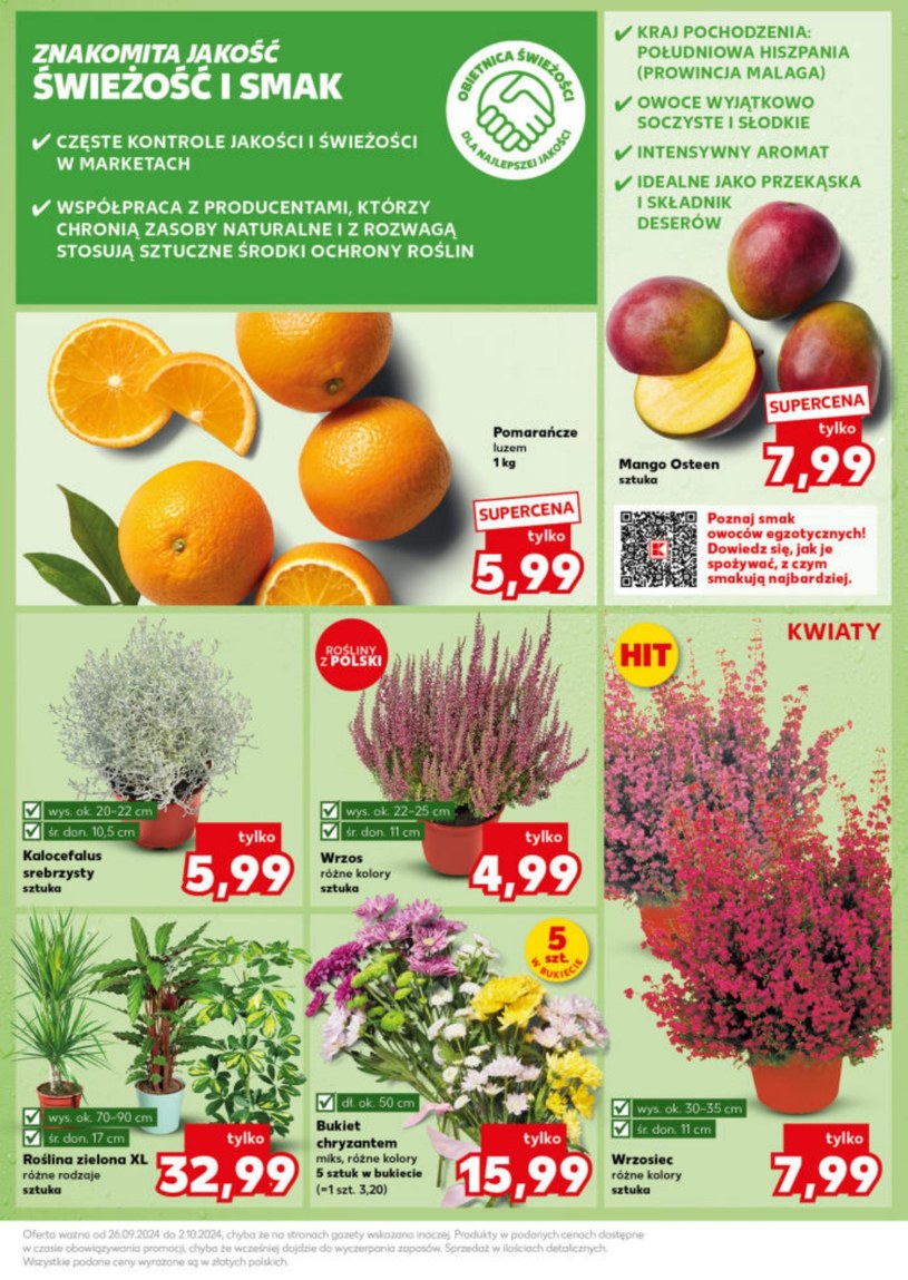 Gazetka: Mocny Start - Kaufland - strona 13