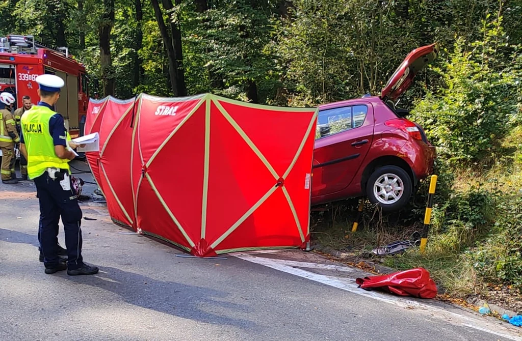 W Hyundaiu, który rozbił się o betonowy krąg, zginęło starsze małżeństwo