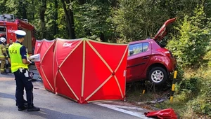 W wypadku zginęli starsi ludzie. Dopiero wtedy usunięto betonowe bariery