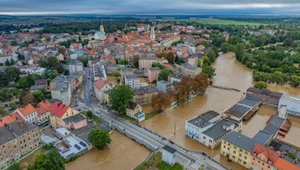 Odwiesili medale i chwycili za piłkę. Żeby pomóc powodzianom, zagrają w kosza