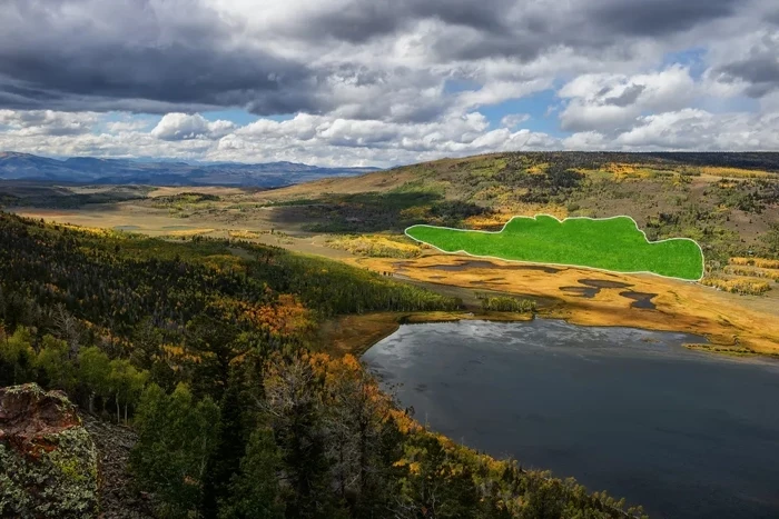 Zasięg Pando jest naprawdę ogromny. Drzewa w tym regionie mają wspólną sieć korzeni.