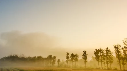 Poniedziałek będzie chłodny i przeważnie spokojny. Jedynie na południowym wschodzie może trochę popadać - prognozuje IMGW