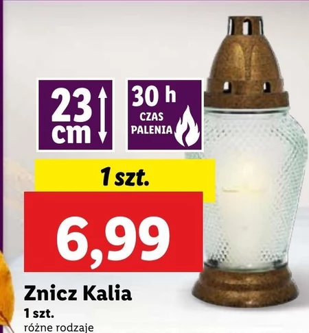 Znicz