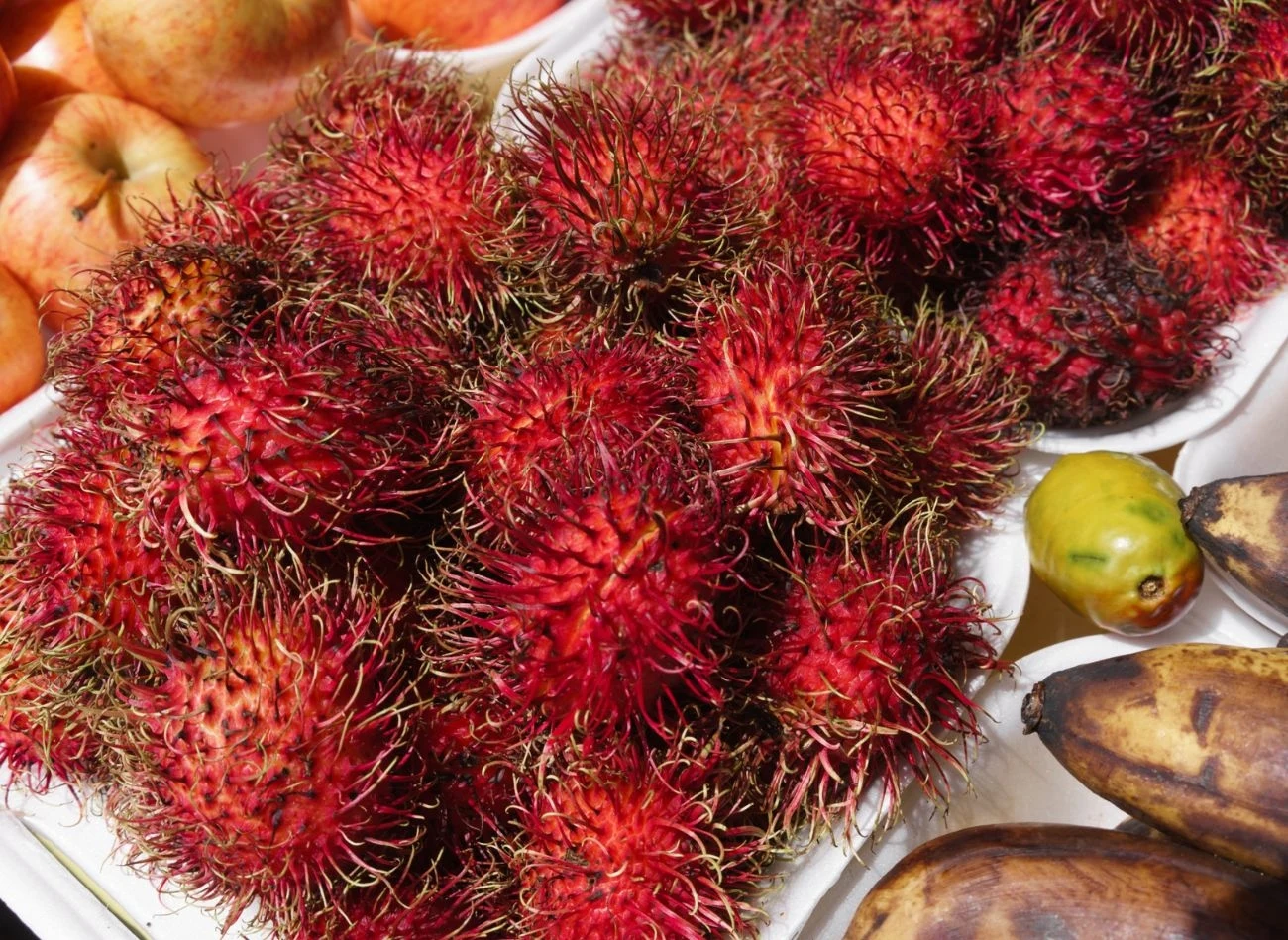 Rambutan zawiera dużą ilość białka | Fot. bruno135 Rambutan zawiera dużą ilość białka | Fot. bruno135