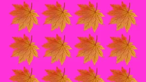 Test na spostrzegawczość. Jesienny liść