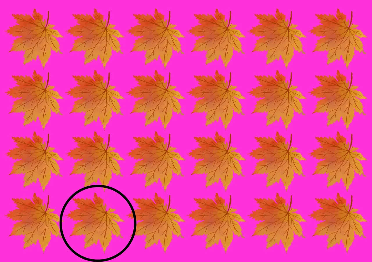 Test na spostrzegawczość. Jesienny liść. Rozwiązanie zagadki Test na spostrzegawczość. Jesienny liść. Rozwiązanie zagadki