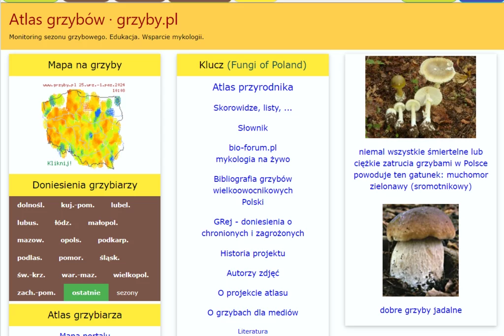 grzyby.pl