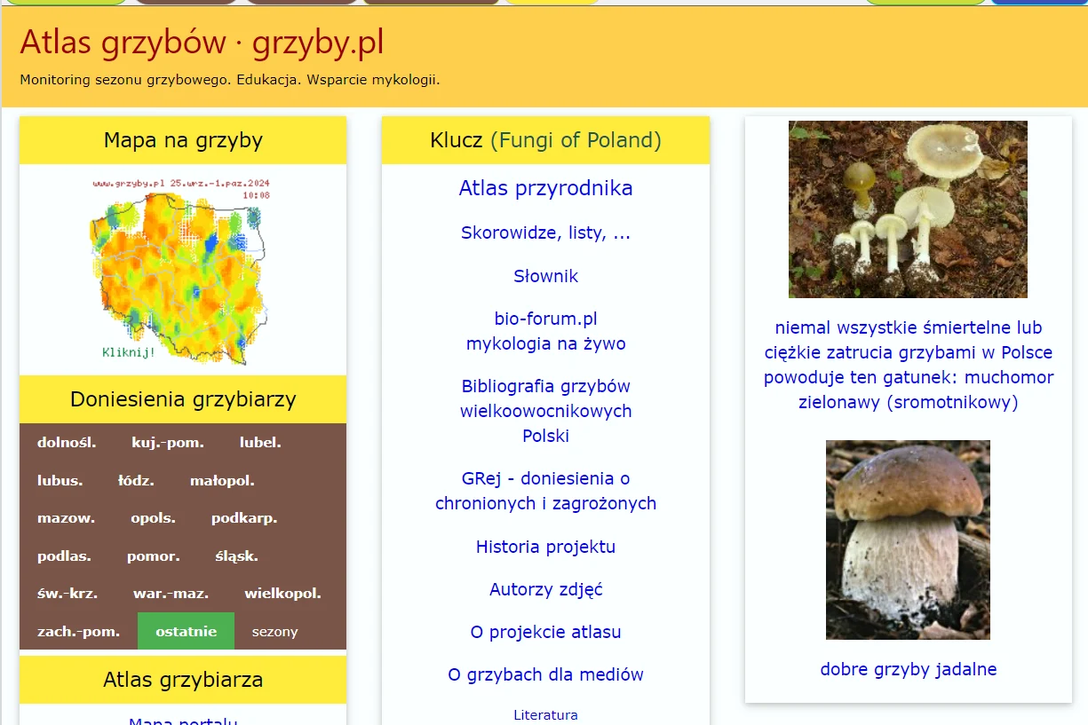 grzyby.pl grzyby.pl