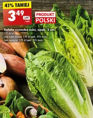 Sałata rzymska Polski