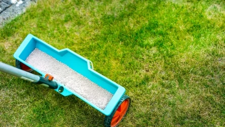 W piaskowaniu trawnika może pomóc siewnik